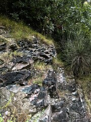 grass against the backdrop of the mountains of Montenegro
