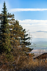 Natural landscape background for product placementNatural landscape background for product placement