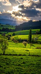 Scenic landscape at sunset