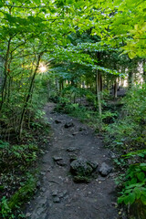 A tranquil hiking trail through the lush, sun-dappled forest of Mt. Nemo in Burlington, Ontario.