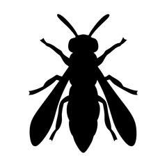 Isolated wasp vector silhouette illustration for graphic design and insect identification projects