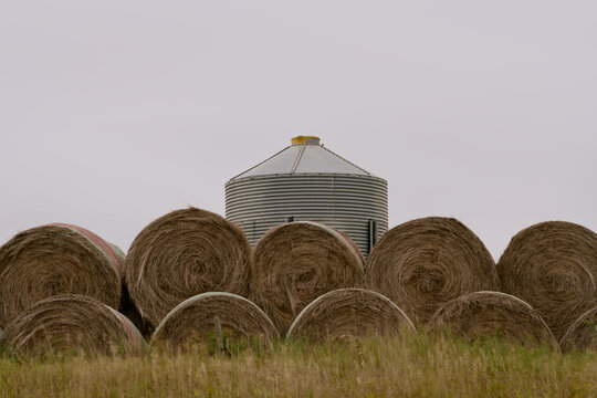 Round hay bales stacked in front of a metal grain bin on farmland under cloudy autumn skies in Saskatchewan, Canada.