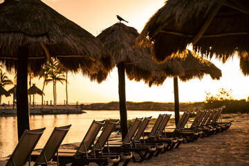 Sunlit lounge chairs under thatched umbrellas, inviting to unwind and soak it.