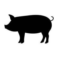 Pig silhouette vector drawing illustration farm animal swine livestock pork mammal design graphic art