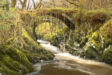 Fototapeta premium old bridge over the river