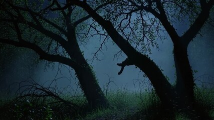 Enchanting forest trail at night with magical misty atmosphere, perfect for fantasy stories and atmospheric landscapes, creating a serene escape - Powered by Adobe