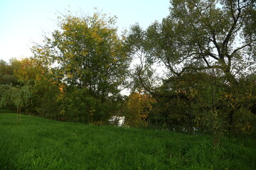 Beautiful autumn landscape with trees under blue sky
