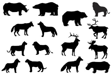 Wild animals illustrations