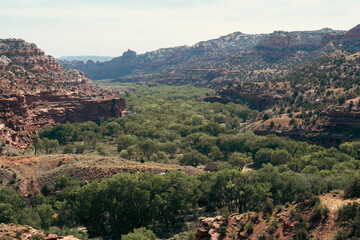 Obraz premium A vibrant green valley nestled between rugged cliffs in a desert region vista.