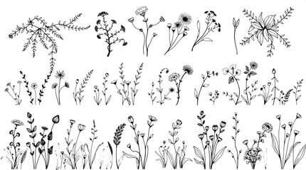 "Black-and-white botanical line art illustrations on a flat white background, drawn with thick, organic lines. A mix of trailing and clustered plants fills three rows, creating a clean, modern composi