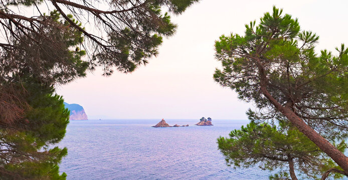 Scenic view of small rocky islands off the coast of Petrovac, Montenegro, framed by lush pine branches, with calm blue sea and a pastel evening sky.