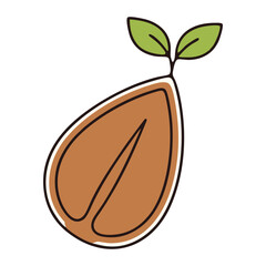 vector illustration of a coffee beans