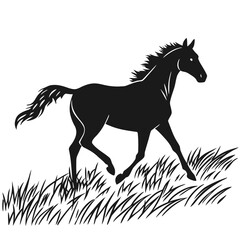 Horse galloping in open field silhouette