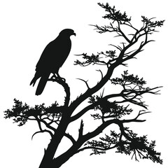 Falcon perched on treetop silhouette