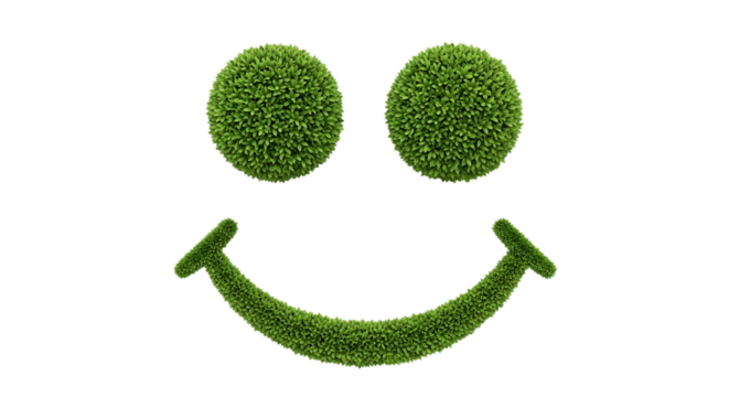 Green Bush Smiley Face On Black 2382607e5386ce7bcf248e9a7691d2b8dr