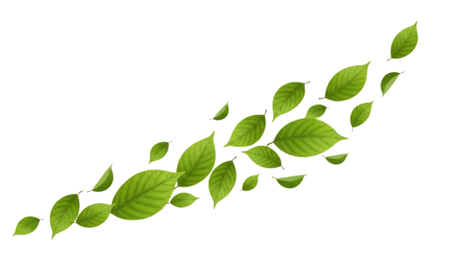 Green Leaves Flowing on Black Background nature movement