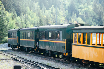 Fototapeta premium Vintage green and yellow train carriages on a sunny day amidst the forest.