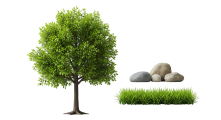 Green Tree Grass and Rocks Isolated on Black Background