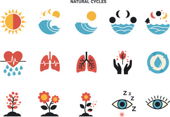 Natural Cycles Icons: Flat Vector Set
