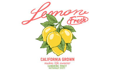 Vintage illustration of a fresh lemon branch. Retro California Grown artwork for juice brand, t shirt print, poster