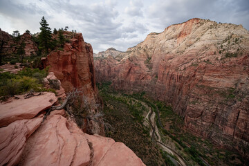 Expansive View of Zion Canyon Rimming with Red and Gray Rock Formations