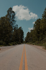 Road Through Forest with Cloudy Blue Sky