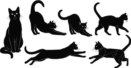 cat, feline, animal, silhouette, sit, stretch, walk, leap, pounce, play, icon, vector, illustration, black, white, pet, anatomy, behavior, wildlife, design
