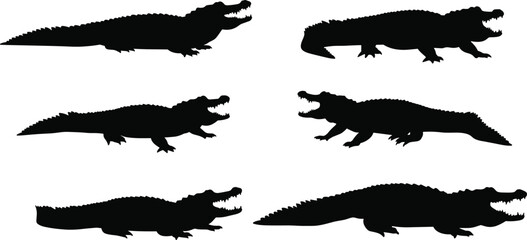 crocodile, alligator, reptile, animal, silhouette, crawl, walk, rest, strike, jaw, teeth, icon, vector, illustration, black, white, nature, predator, swamp, design
