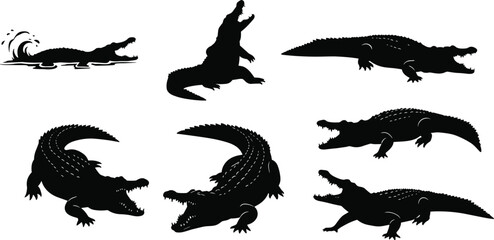 crocodile, alligator, reptile, animal, silhouette, swim, crawl, walk, rest, strike, jaw, teeth, icon, vector, illustration, black, white, predator, swamp, wildlife, design