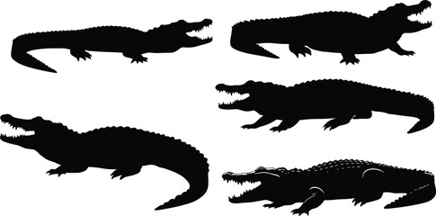 crocodile, alligator, reptile, animal, silhouette, crawl, walk, rest, strike, icon, vector, illustration, black, white, nature, anatomy, behavior, wildlife, predator, design