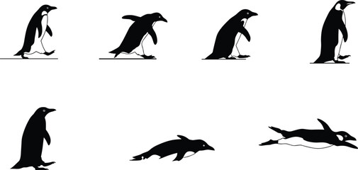 penguin, animal, silhouette, walking, diving, swimming, motion, icon, vector, illustration, black, white, nature, wildlife, pose, anatomy, behavior, aquatic, cold, streamlined, design