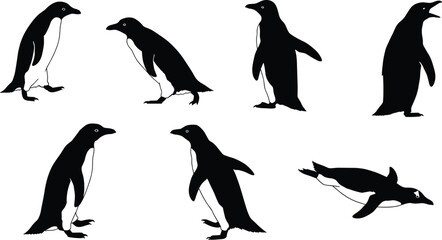 penguin, animal, silhouette, walking, standing, swimming, vocalizing, icon, vector, illustration, black, white, nature, wildlife, pose, anatomy, behavior, aquatic, cold, flipper, design © Bappi Creatives