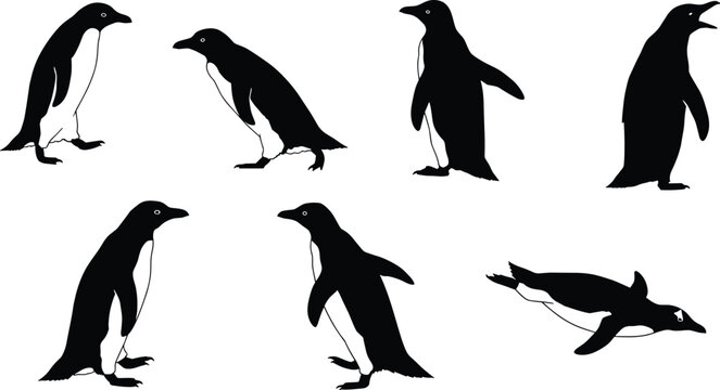 Penguin Swimming Images Browse 52 193 Stock Photos Vectors And penguin-swimming-images-browse-52-193-stock-photos-vectors-and