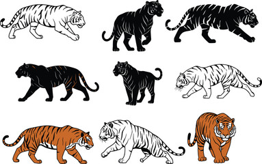 tiger, animal, stripes, silhouette, walking, prowling, icon, vector, illustration, black, white, orange, nature, wildlife, pose, anatomy, behavior, jungle, predator, design