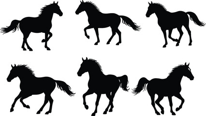 horse, animal, silhouette, walking, trotting, galloping, icon, vector, illustration, black, white, nature, motion, anatomy, pose, behavior, rural, speed, grace, design