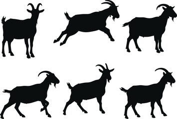 goat, animal, silhouette, icon, vector, illustration, black, white, nature, farm, livestock, walking, standing, leaping, pose, horns, anatomy, behavior, rural, grazing, design
