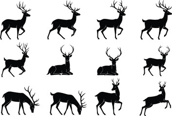deer, animal, silhouette, wildlife, icon, vector, illustration, black, white, nature, forest, antlers, walking, grazing, lying, standing, leaping, anatomy, behavior, pose