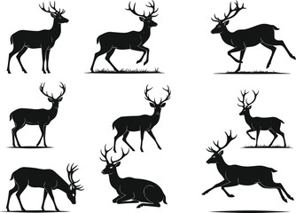 deer, animal, silhouette, wildlife, icon, vector, illustration, black, white, nature, forest, antlers, walking, running, lying, standing, grazing, anatomy, pose, behavior