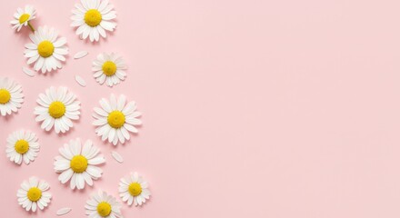 White daisy flowers arranged on a light pink background creating a floral pattern.