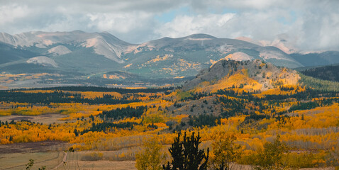 Autumn mountain landscape with golden trees and colorful forest in valley, scenic wilderness view under cloudy sky