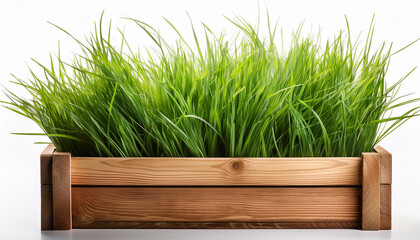 Wooden Box With Green Grass Isolated On White Background