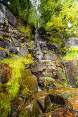 Mount Rainier Cristine Falls and stream next to the falls trail entrance in the fall of 2025