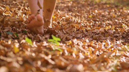 CLOSE UP, DOF, SLOW MOTION: Bare female feet walk through rustling autumn foliage towards the camera. Person walking barefoot along forest path completely covered with fallen leaves on a sunny day.