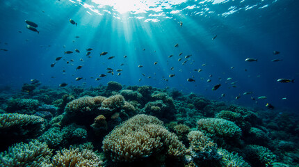 Fototapeta premium Dive into the underwater coral garden’s vibrant depths, perfect for marine art and aquatic decor delights