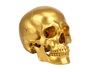 Obraz premium A stunning golden skull sculpture reflecting light, showcasing intricate details and a shiny finish.