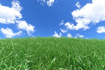 Obraz premium Bright Green Grass Field Under Clear Blue Sky with Fluffy White Clouds