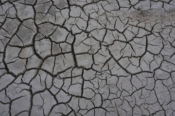 The dry and cracked soil cracked open