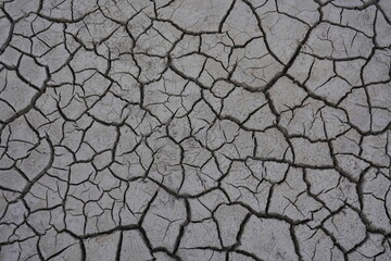 The dry and cracked soil cracked open