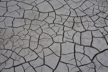 The dry and cracked soil cracked open