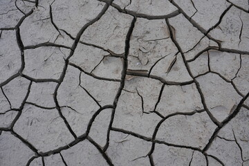 The dry and cracked soil cracked open